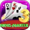 bingo - Gaming Master