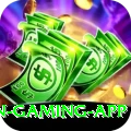 pk365 Champion Gaming App